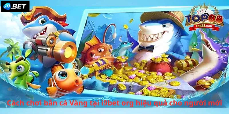 Cách chơi bắn cá Vàng tại i9bet org hiệu quả cho người mới